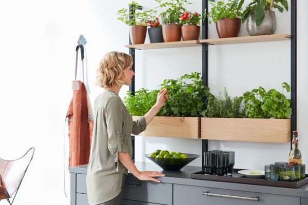 regalsystem kraeuter regalsystem kraeuter