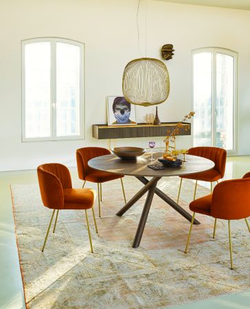 haas speisen seite haas speisen seite