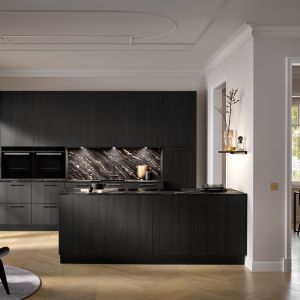 av feineiche schwarz m frontal.1 av feineiche schwarz m frontal.1